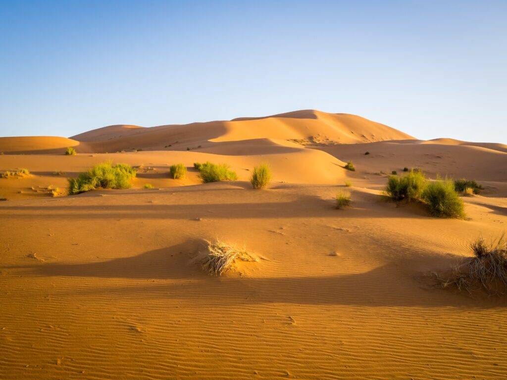 polvere del sahara